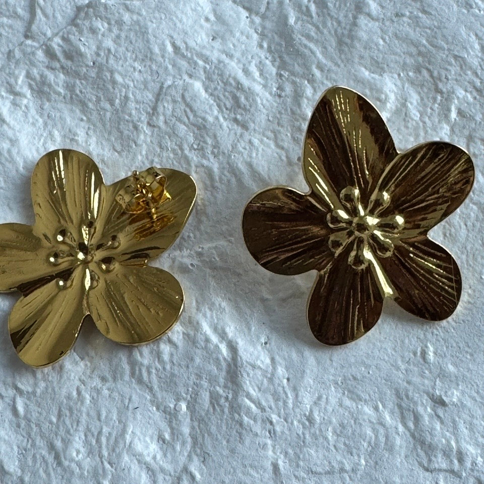 Mistral Earrings Set