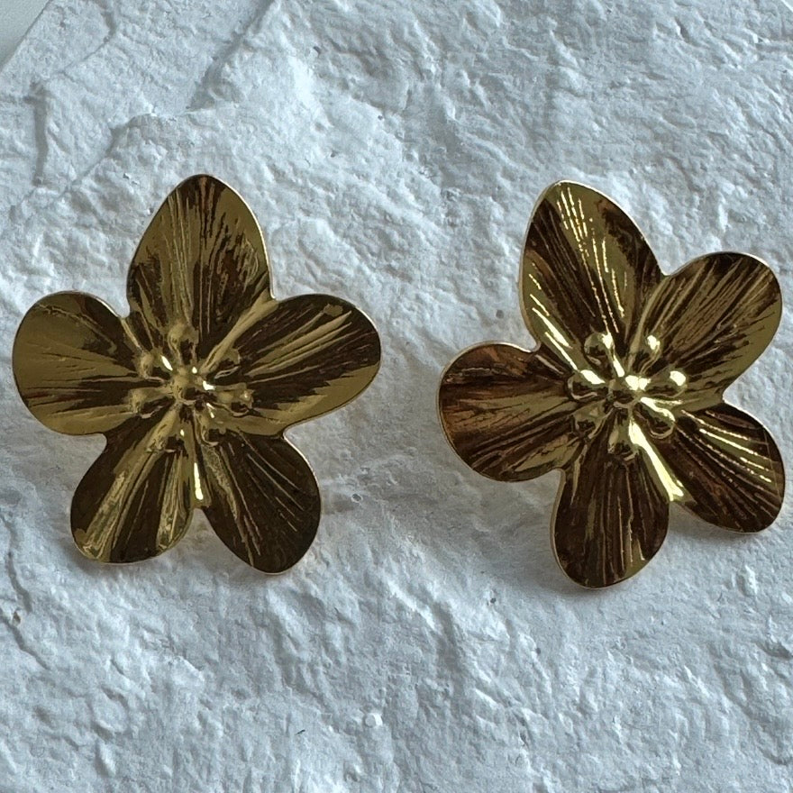 Mistral Earrings Set